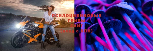 PSILOCYBIN Волосово