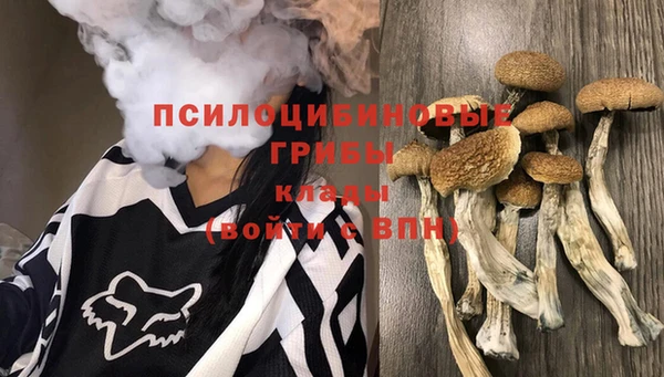 ECSTASY Снежинск