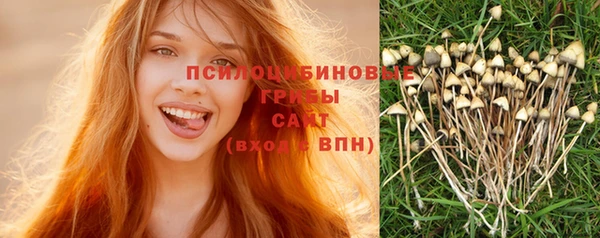 PSILOCYBIN Волосово
