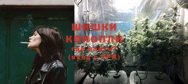 PSILOCYBIN Волосово