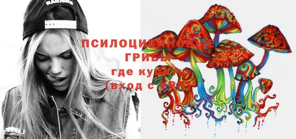 PSILOCYBIN Волосово