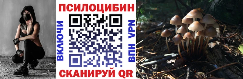 Псилоцибиновые грибы Cubensis  Бугуруслан 