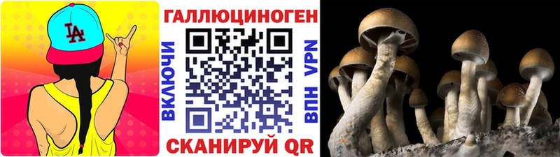 Галлюциногенные грибы Cubensis Бугуруслан